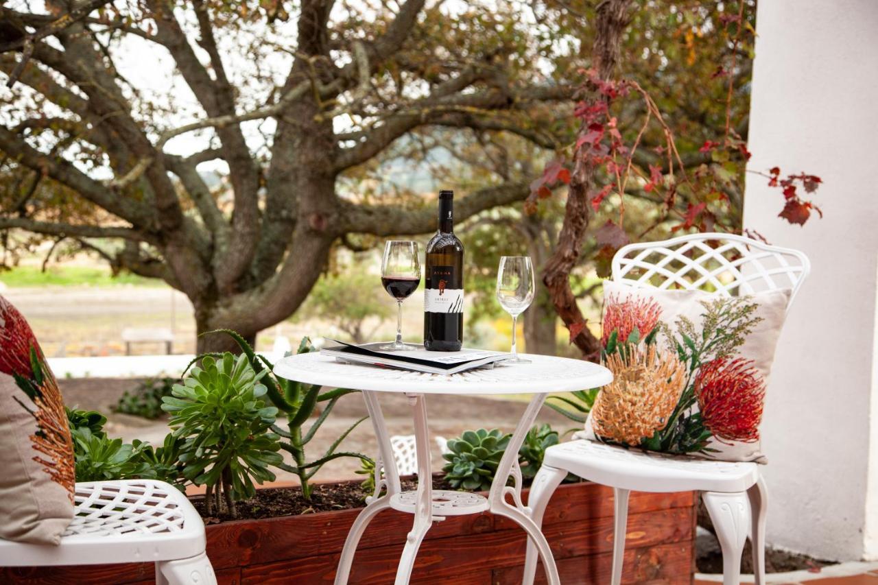 Ayama Wine Farm - Manor House Bed & Breakfast Wellington Exterior photo